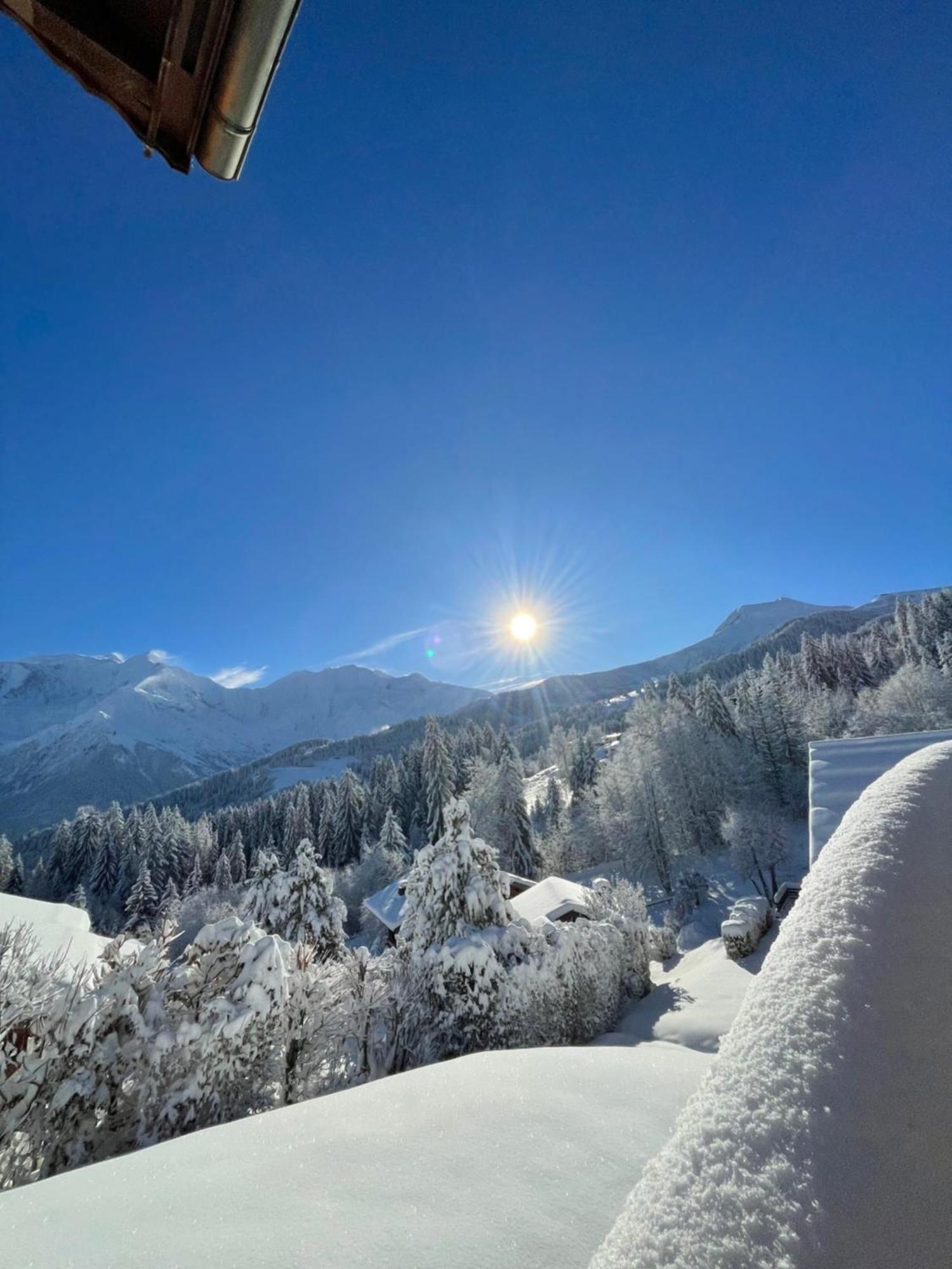 Vue Splendide Mont Blanc Apartment Сен-Жерве-ле-Бен Екстериор снимка